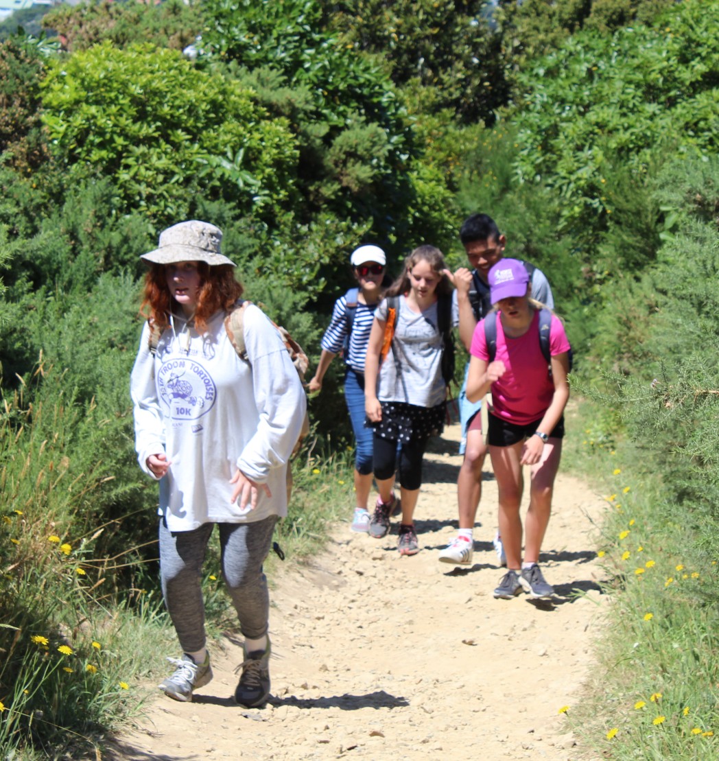 image of students hiking