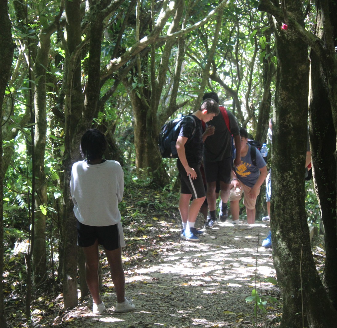 image of students hiking